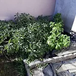 Casa de Férias Casa Di Ica *